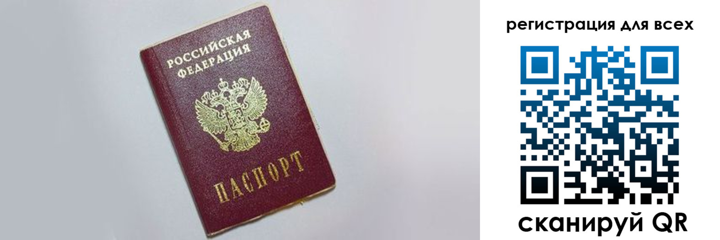 прописка гарантия в Апатитах